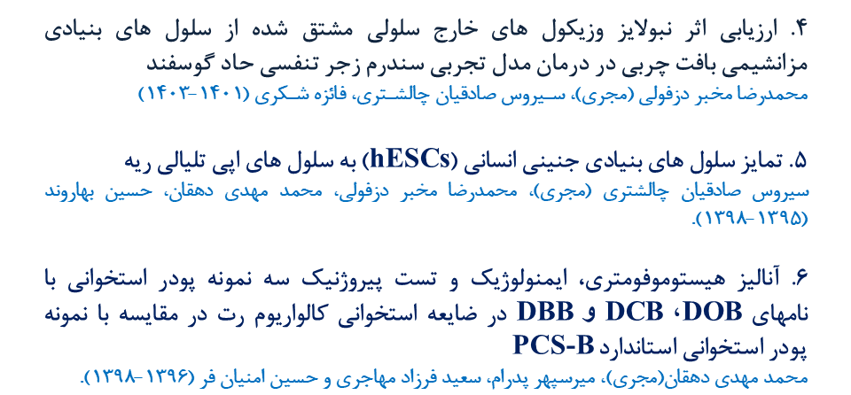 Responsive Image