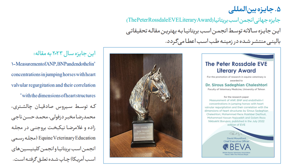 Responsive Image