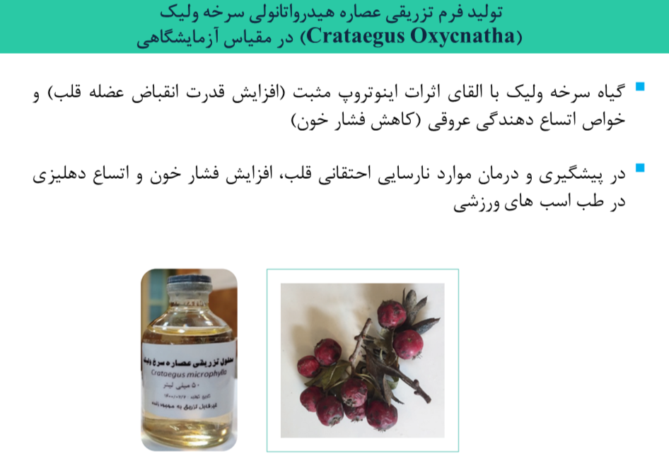 Responsive Image
