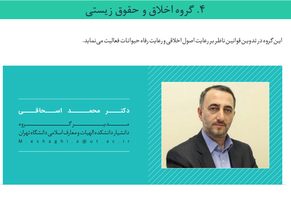 Responsive Image