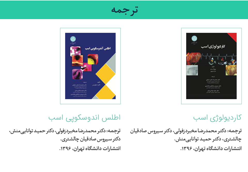 Responsive Image