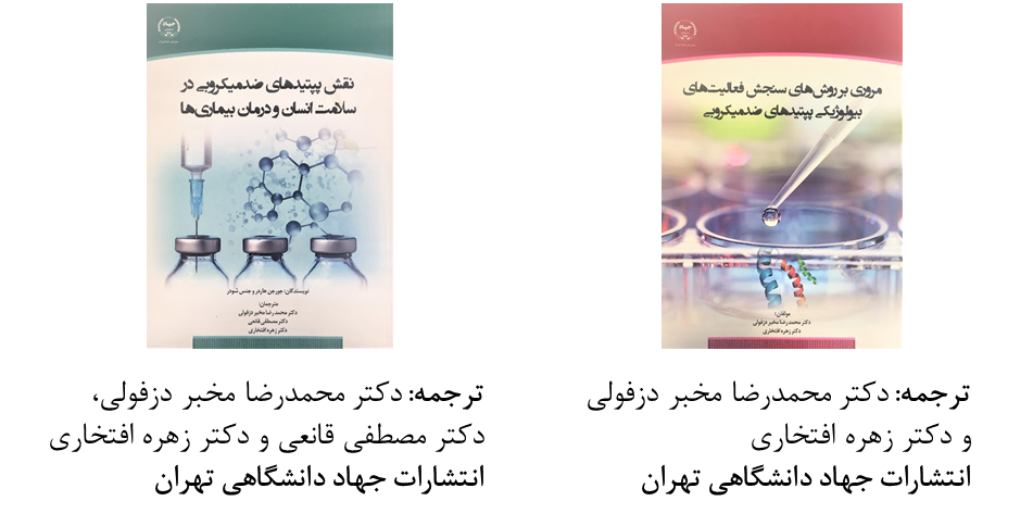 Responsive Image