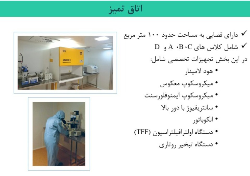Responsive Image