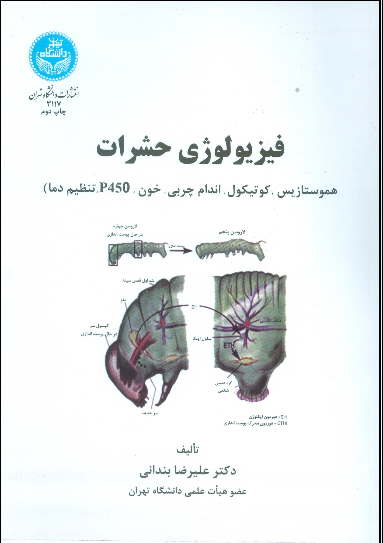 Miniature