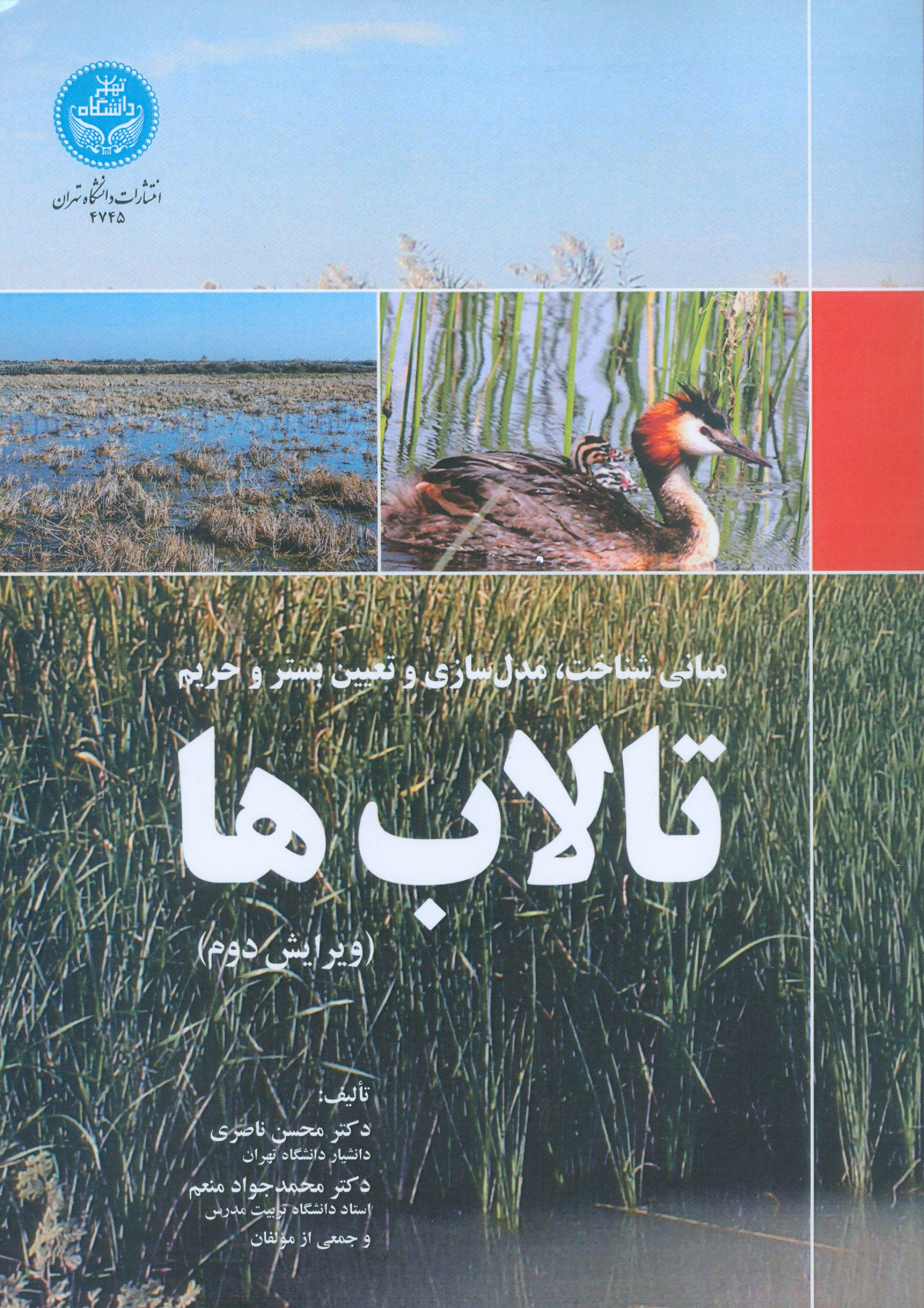 تصویر کوچک