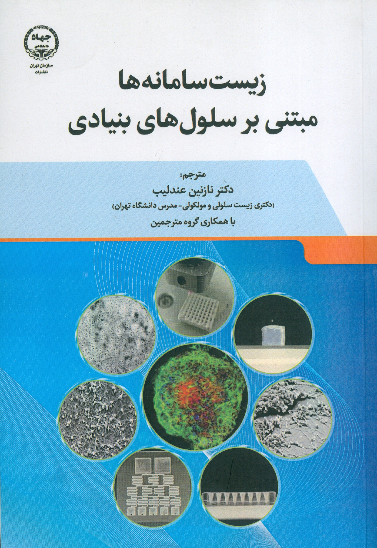 Набросок