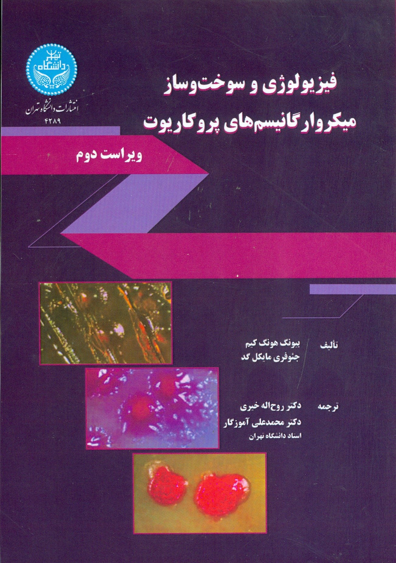 صورة مصغّرة